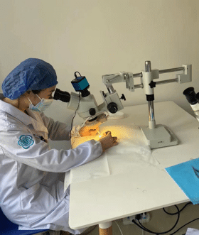 关关难过关关过 步步难行步步行