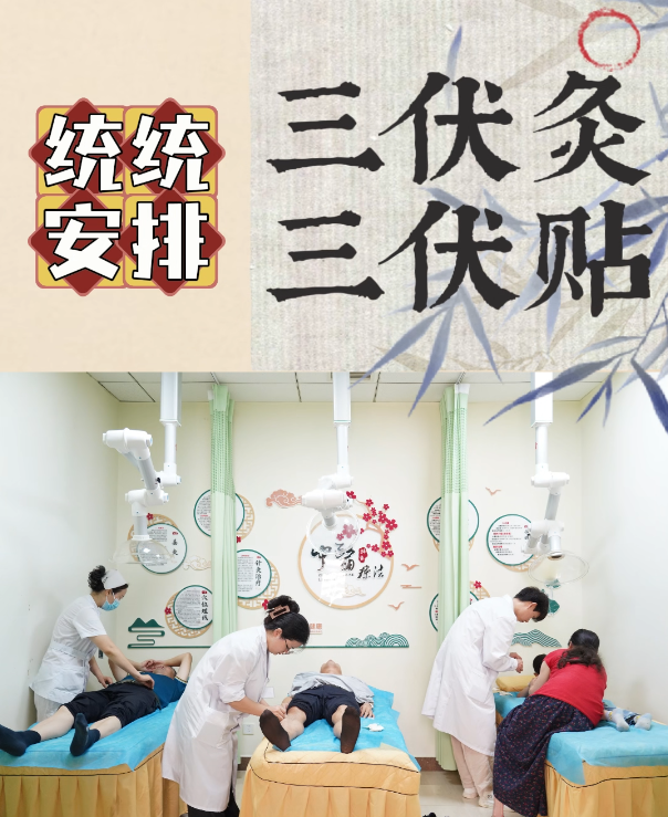 三伏灸三伏贴统统安排上——州人民医院三伏贴疗法火热“引伏”