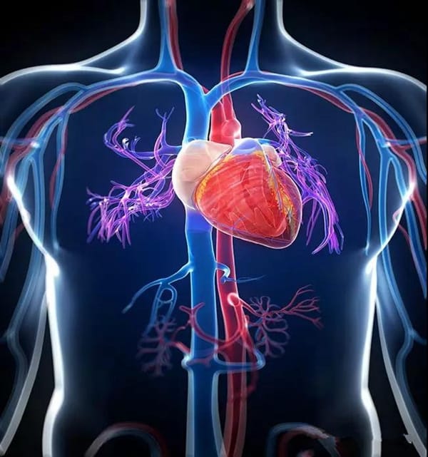 【健康传播】生死竞速——急性心肌梗死发作如何自救？