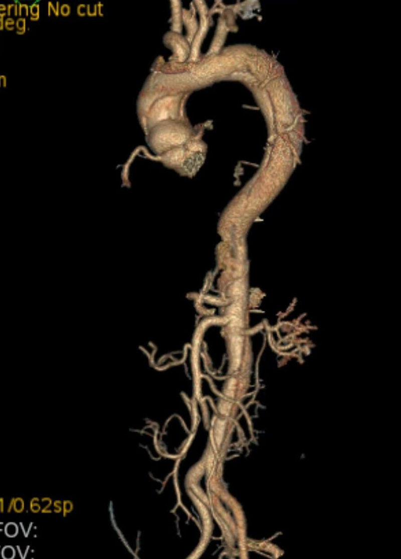 1771039698488732.jpg 微信图片_2026-02-14_112705_419.jpg