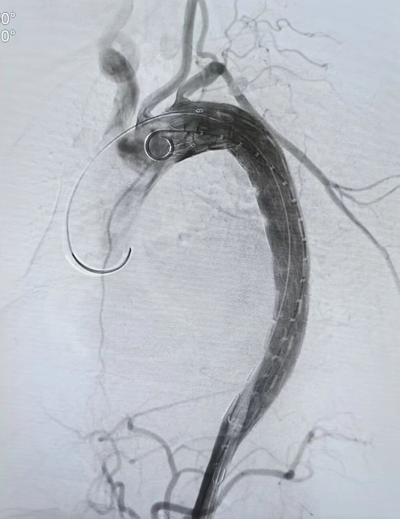 1771039719500954.jpg 微信图片_2026-02-14_112717_025.jpg